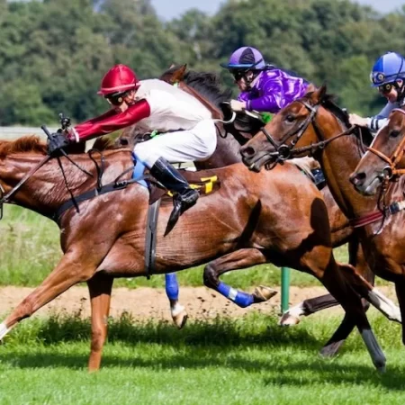 Cách cá cược đua ngựa – trò chơi cá cược hấp dẫn nhất hiện nay